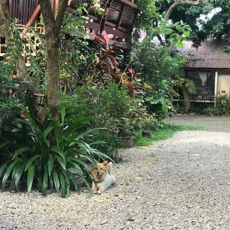 Baan Songjum Hotel Chiang Mai Exterior photo